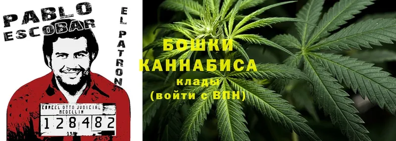 Шишки марихуана THC 21%  Егорьевск 